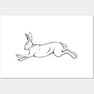 Leaping Hare Posters and Art